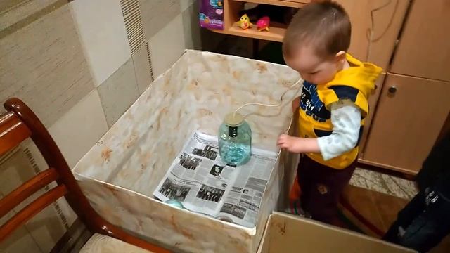 Живые цыплята и дети. Примут ли питомцы интерактивного птенца.