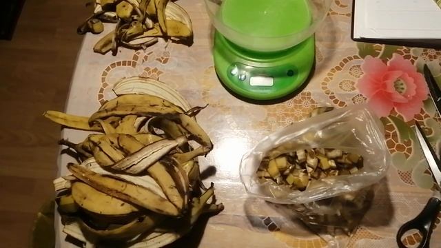 НЕ ВЫКИДЫВАЙ БАНАНОВУЮ КОЖУРУ. КУРЫ ПЕРЕСТАНУТ БОЛЕТЬ И БУДУТ НЕСТИ БОЛЬШЕ ЯИЦ.