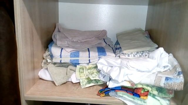 Как избавиться от моли в квартире