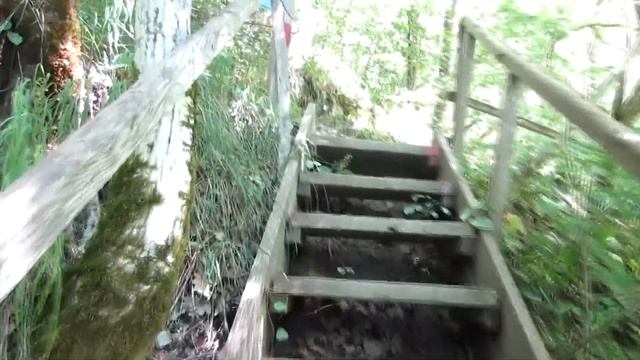 БЕРЕНДЕЕВО ЦАРСТВО: МУЗЫКА ПРИРОДЫ / BERENDEYEVO KINGDOM: MUSIC OF NATURE