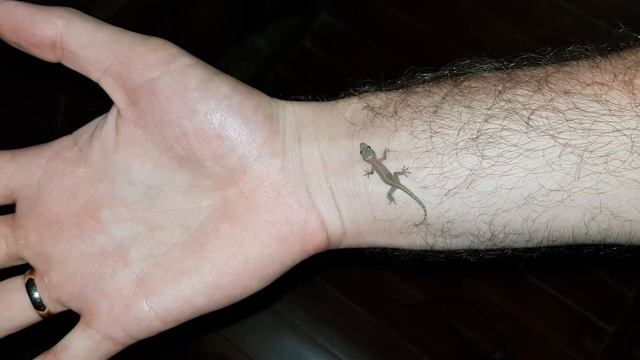 Bbe7b447c90f9afc18dc537d46778f0a