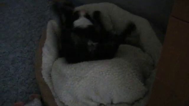 1938b4d59c4d60b3951e50ccf6f28711