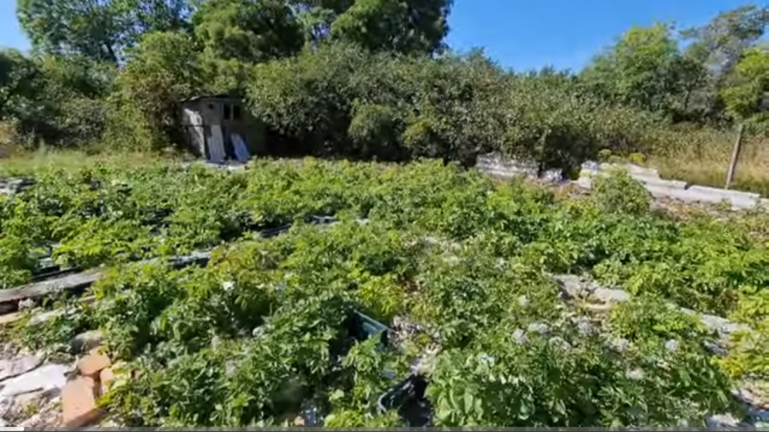 D3255c7a63394c375d62cb37b38a5fc1