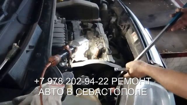 Любовь к Peugeot: истории и приключения