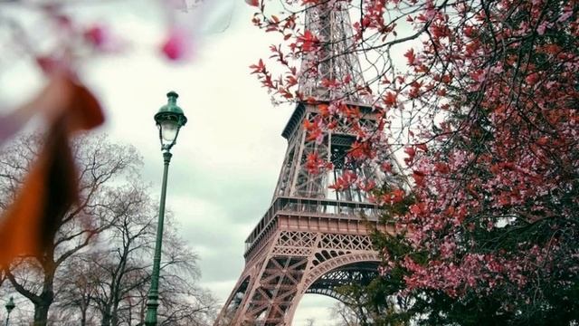 8b506219a447329ebc7fa249d6580bc0