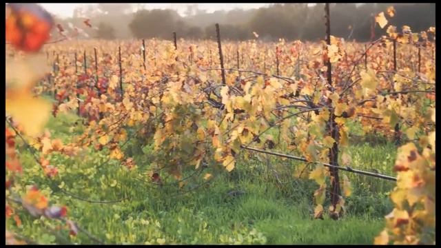 Vutec - SilverStar Projection Screen Video