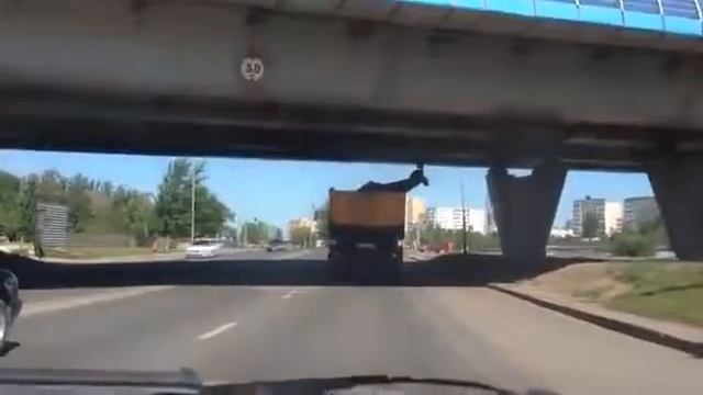 Олень в кузове! и за рулем Прикол