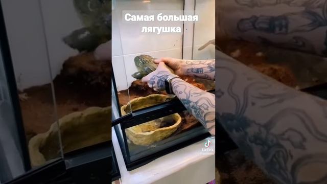 E8254ecd46fe307616fe86c640b72632