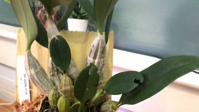 D3ab8b740e119b4fb78fd082b06761de