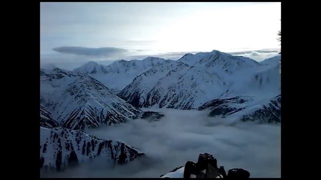 2e8cc5cffc8fb8e801cd606daecdcace