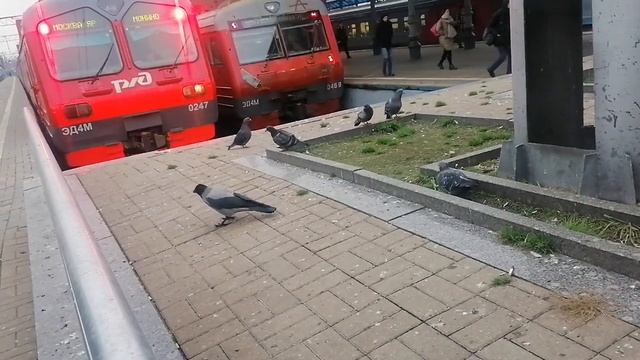 F518c880b080e5287d23c43e9ef5f4e8