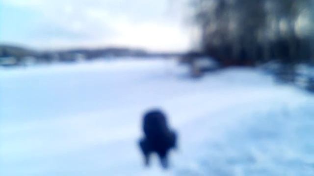 5630ae45a9b4b597865c241f6d8da8c9