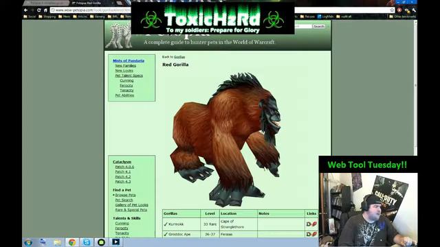 Web Tool Tuesday!  Petopia