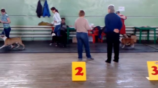 Сравнение на ЛПП.