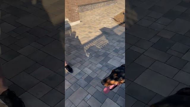 D5ec0ac5b25aff61657b278e23b959e5