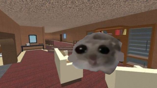 Тоса Тоса и грустный хомяк🤣