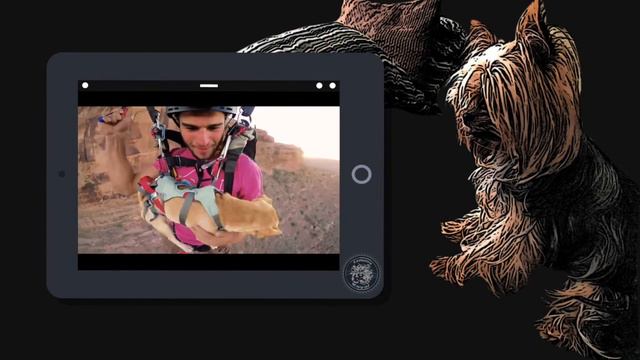 FEELING ADVENTUROUS?