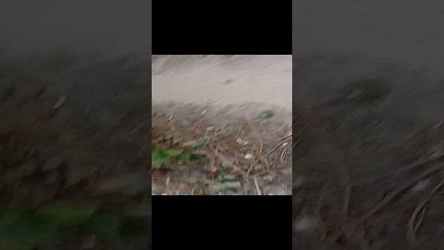 ырка часть 1