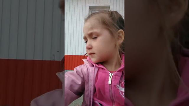 Шарики и женская солидарность