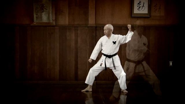 2014 KEIO KARATE - Teaser