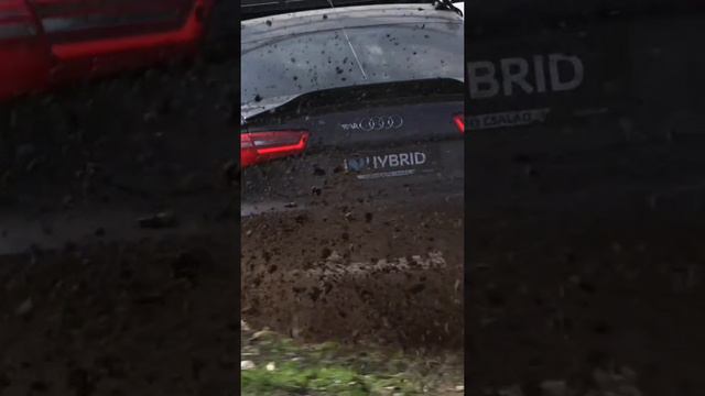 Александр миронов 46