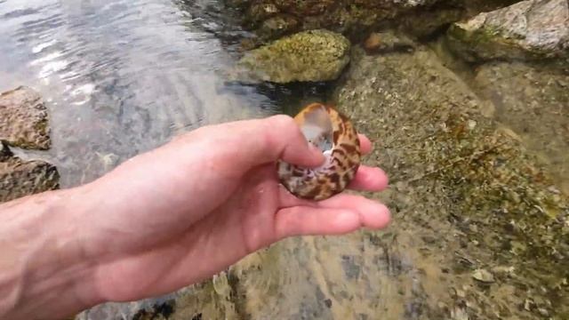 Самый красивый пляж на Пхукете. Обзор пляжа, как добраться. Пхукет сейчас #пхукет #таиланд #тайланд