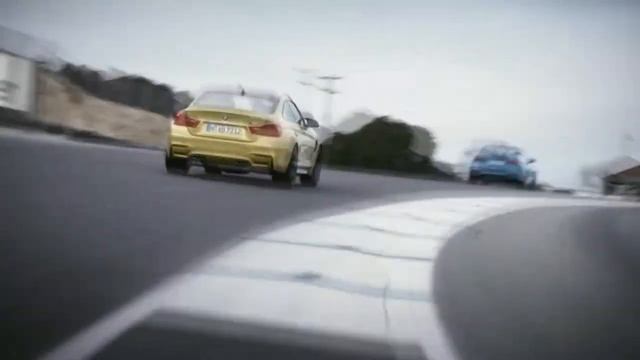 Спортивная Дисциплина