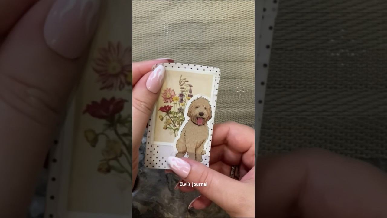 Random Color What № Next? | ASMR Mini Journal | #asmr #minijournal #trending #scrapbooking