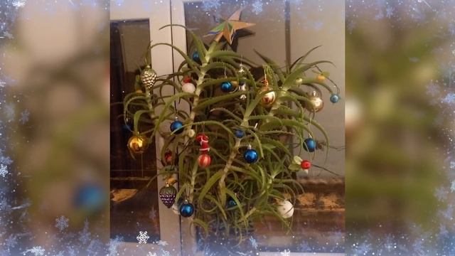 В поисках новогоднего настроения!