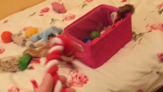 943d925ad02a6b7bffa32bb88faf739d