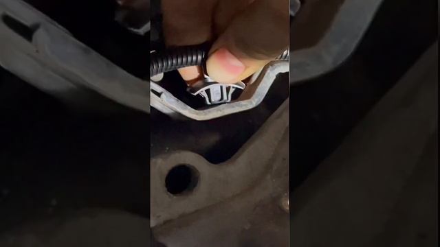 Волшебные тайны