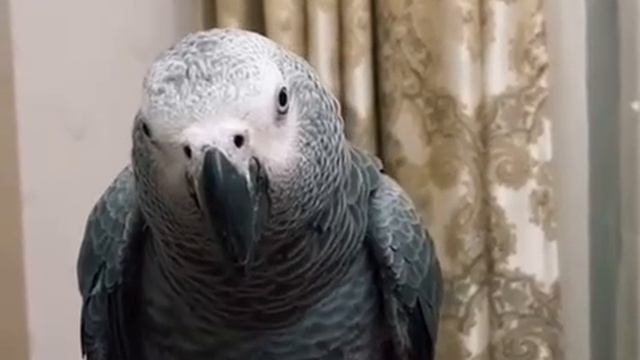 30427091a77e6a657768cccb74dc7aaf