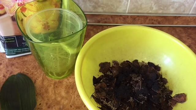 87)?Орхидеи реанимашки/☝пересадка/полив....