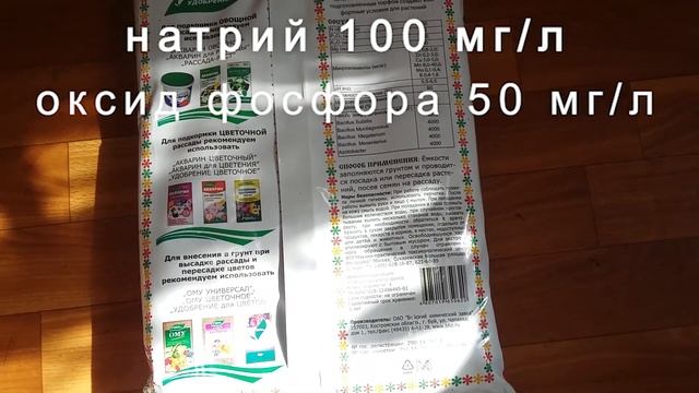 Как посадить семена помидоров на рассаду. И что из этого вышло
