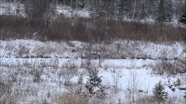 Волшебство минивэнов