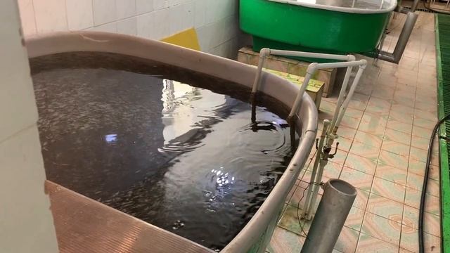 ДОРОГАМИ КРЫМА 2019 май ч.19-2 ФОРЕЛЕВАЯ ФЕРМА нац парк 