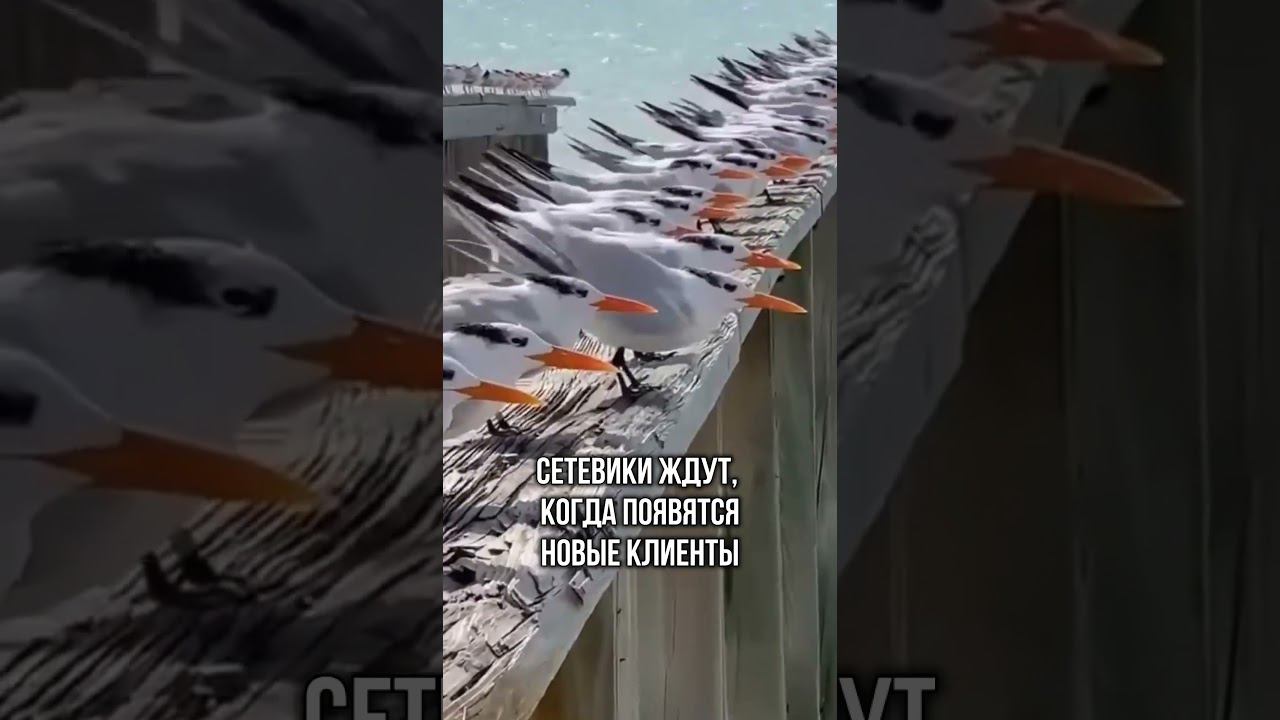 F25c28a0cdd663ae2ecb37c4a033074c