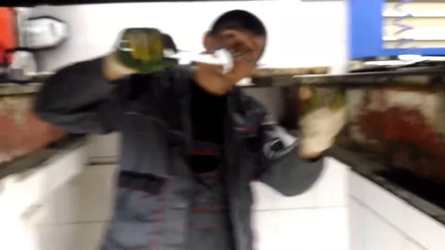 Бюджетные автомобили: проверенные модели