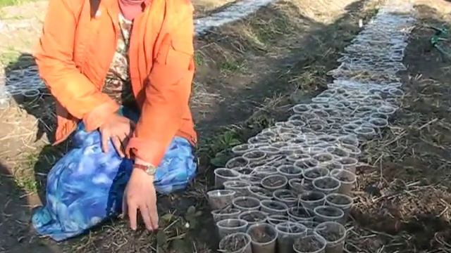 Ffa3c145baae098a25b9169f6c9dfa65