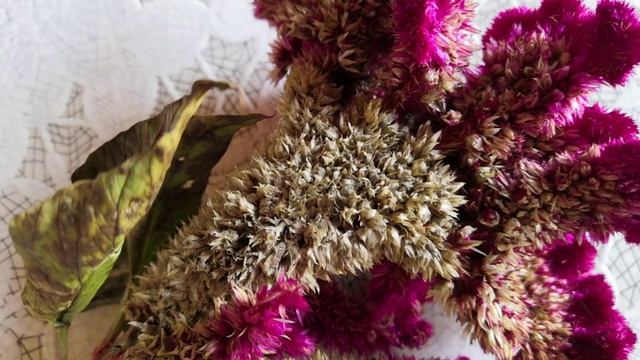 A92853c1e517056f6600afd2192d9887