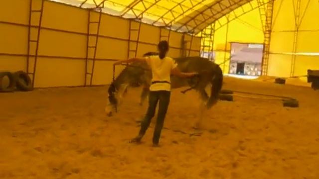 Квалификация на категорию 