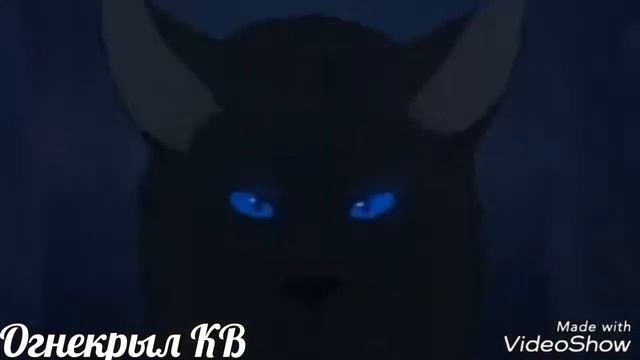 {Коты-Воители}||▪□Грач□▪||[Воин ветра]