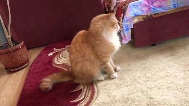 Украшения для девочек своими руками. Открываем набор для творчества.