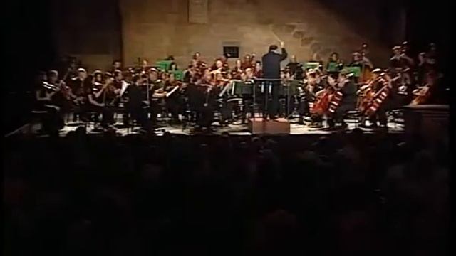 (3/4) P.I. Tchaikovsky - Concerto In RE Magg. Per Violino E Orchestra