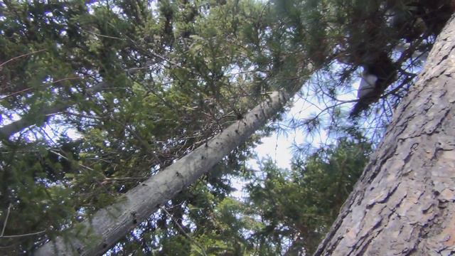 B7b220d118a6264c89767e200e5fef4c