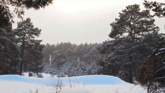 Самая красивая мелодия в мире!До слез красивая мелодия 2024