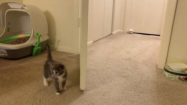 E2b95d4253ce0f1205e2d69b3ab4ec5a