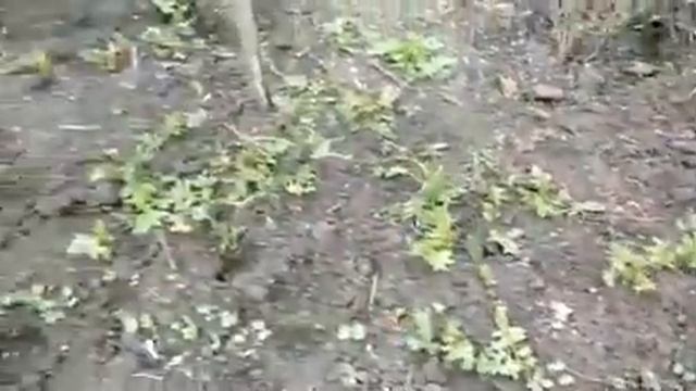 F44272eb89489415cfcba8b93d61296d