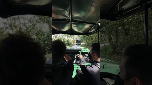 DJI Mavic 3 Pro Zoom Is INSANE! ?