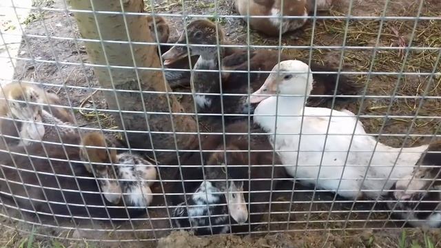 62973218cec00bb430abc9d9c276942d